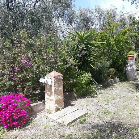 Uliveto Del Gargano *