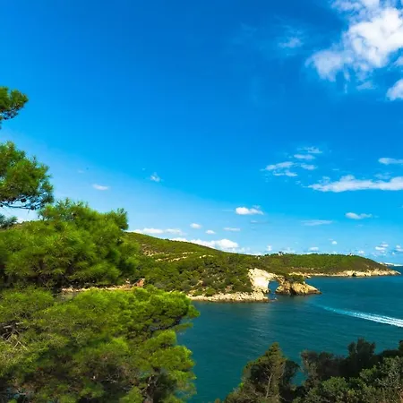 Bed & Breakfast Uliveto Del Gargano *