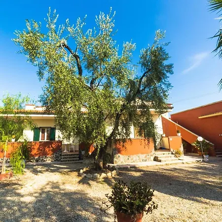 Uliveto Del Gargano Bed & Breakfast *